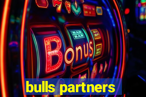 bulls partners